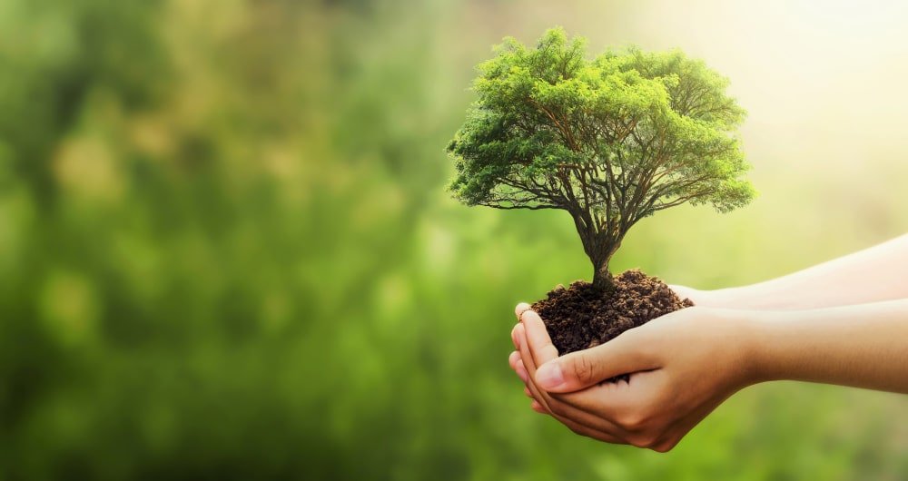 ecologie