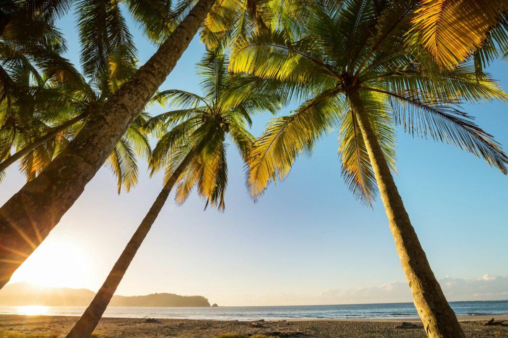 Coast in Costa Rica