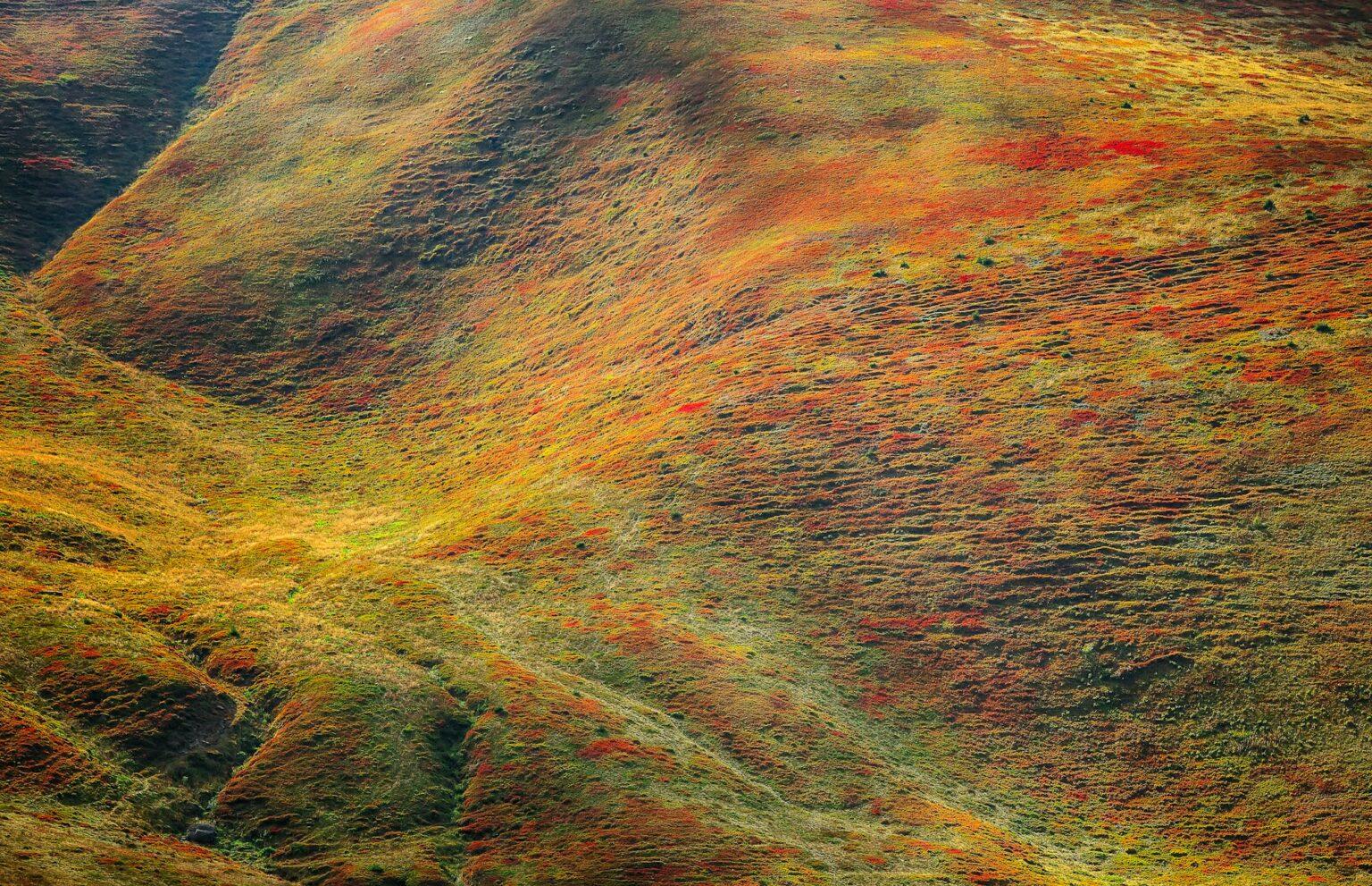 Abstract colorfull mountainside