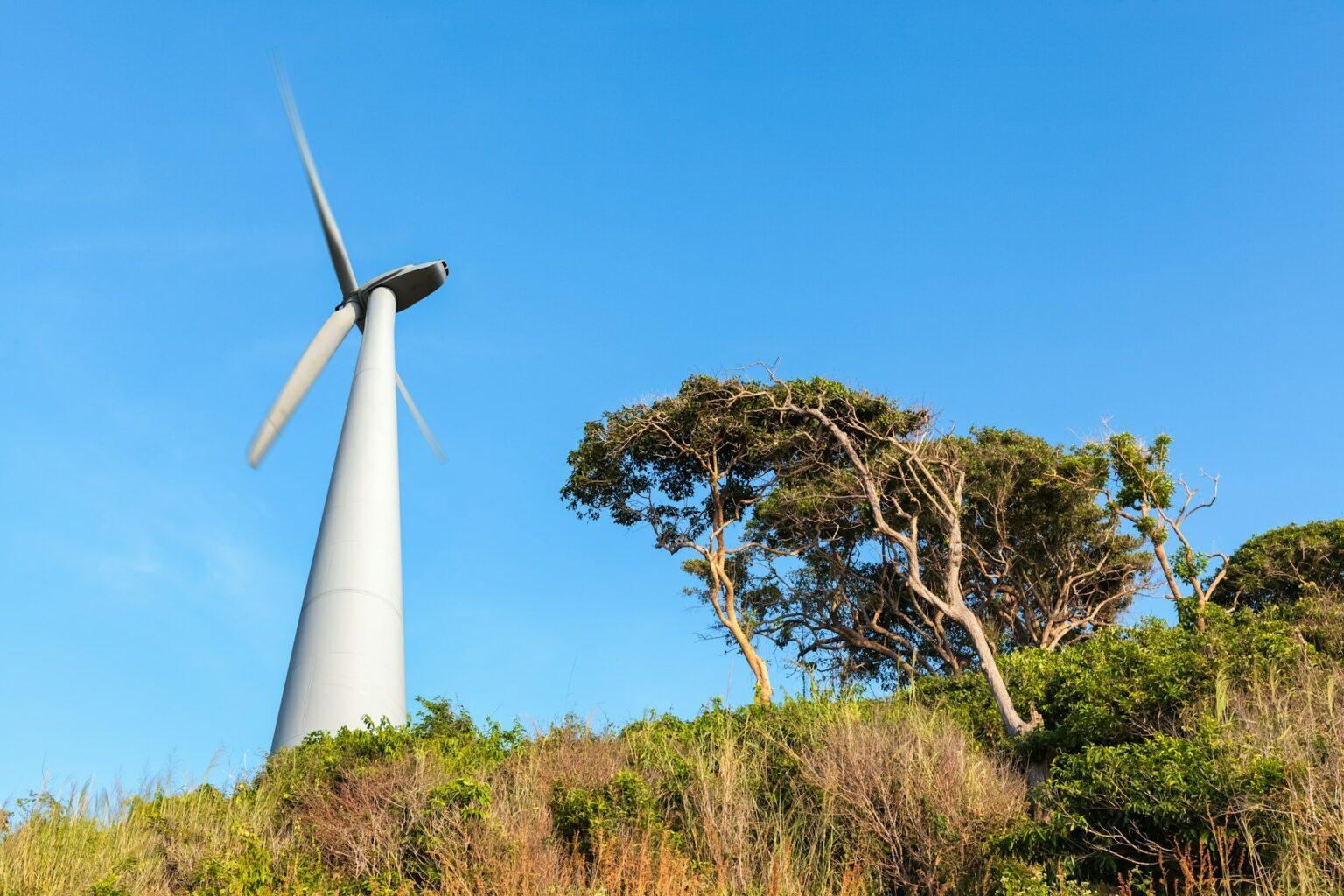 wind turbine on seaside