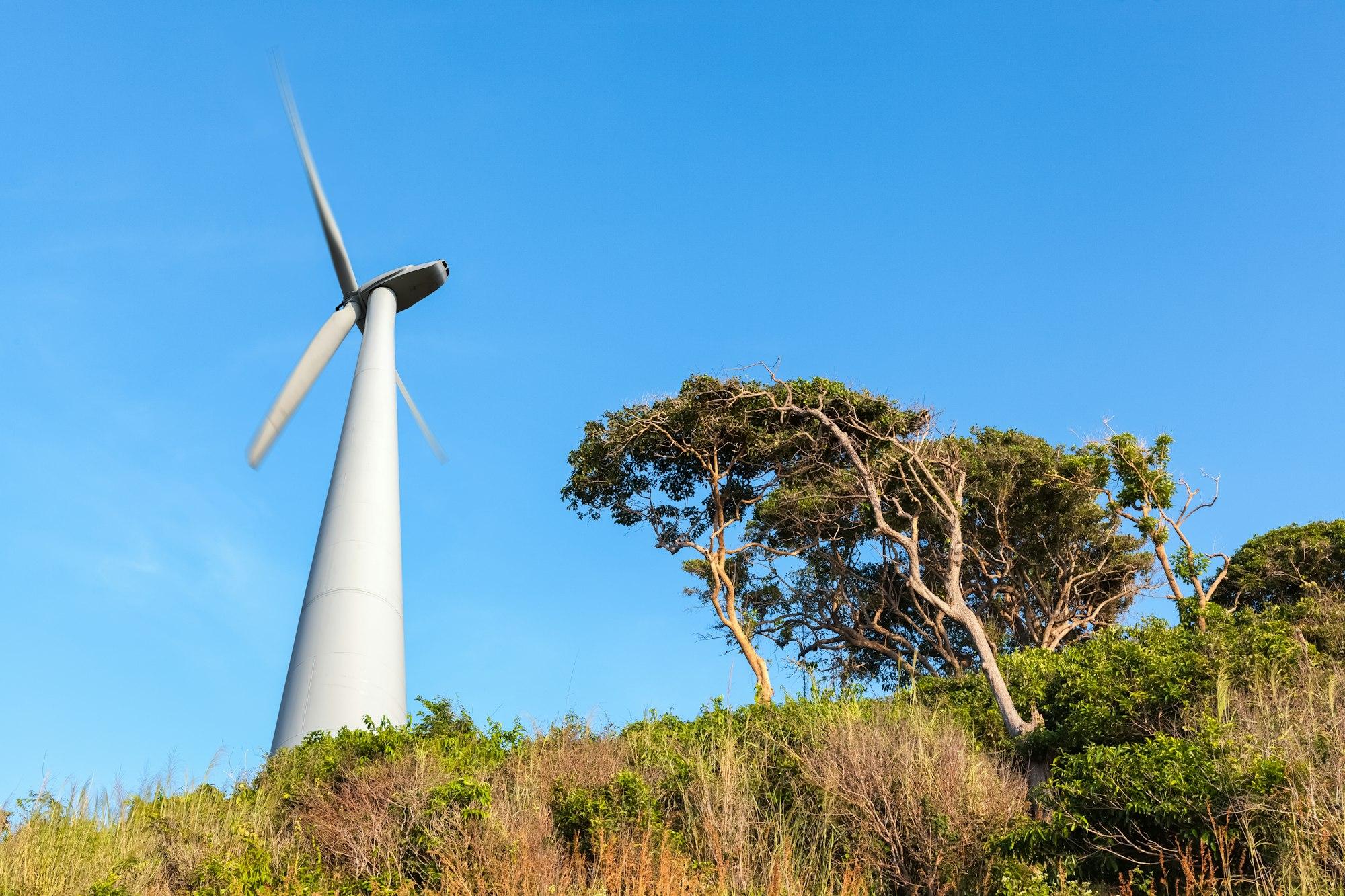 wind turbine on seaside