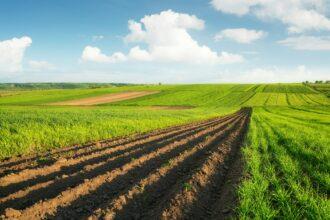 Agricultural landscape