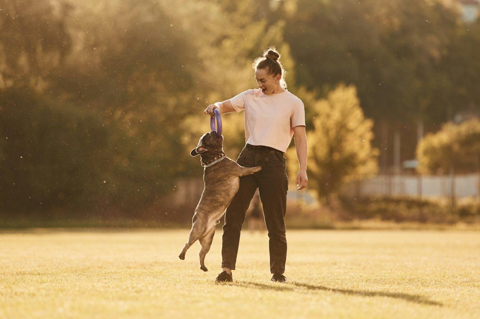 Woman is with dog on the summer field