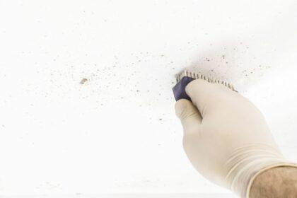 Person cleaning mold stains from the bathroom with gloves.