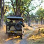 A safari jeep travelling along a pathway through the bush at sunrise.