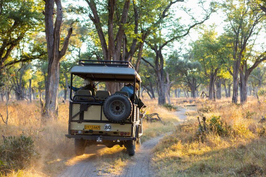 A safari jeep travelling along a pathway through the bush at sunrise.