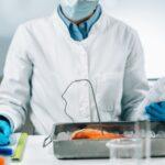 Food Safety Inspector Measuring Concentrations of Lead, Mercury and Cadmium in Sea Fish