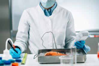 Food Safety Inspector Measuring Concentrations of Lead, Mercury and Cadmium in Sea Fish