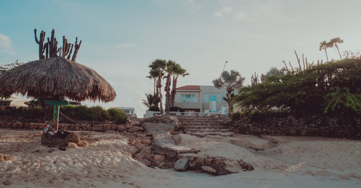 découvrez la beauté de garoupe beach, une plage de sable fin à antibes, où se mêlent détente, activités nautiques et paysages magnifiques. profitez d'un cadre idyllique pour des moments inoubliables en famille ou entre amis.