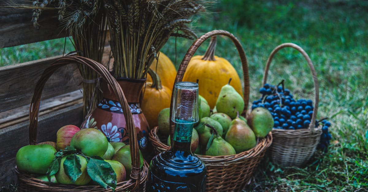 découvrez les bienfaits du vinaigre de cidre de pomme, un ingrédient naturel aux propriétés santé multiples. apprenez comment l'intégrer dans votre alimentation et profitez de ses effets sur la digestion, la peau et plus encore.