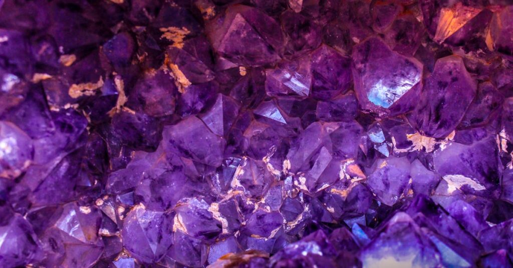 découvrez l'univers fascinant des chakras, ces centres énergétiques qui harmonisent le corps et l'esprit. apprenez comment équilibrer vos chakras pour favoriser le bien-être, la sérénité et la spiritualité au quotidien.