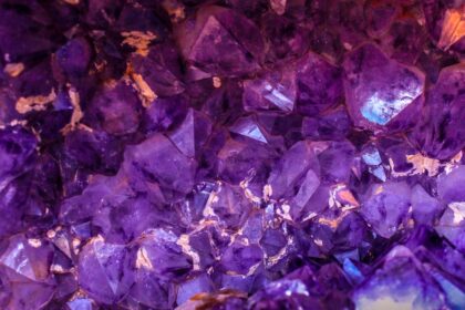 découvrez l'univers fascinant des chakras, ces centres énergétiques qui harmonisent le corps et l'esprit. apprenez comment équilibrer vos chakras pour favoriser le bien-être, la sérénité et la spiritualité au quotidien.