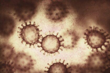 Coronavirus Covid-19 Epidemic Viral