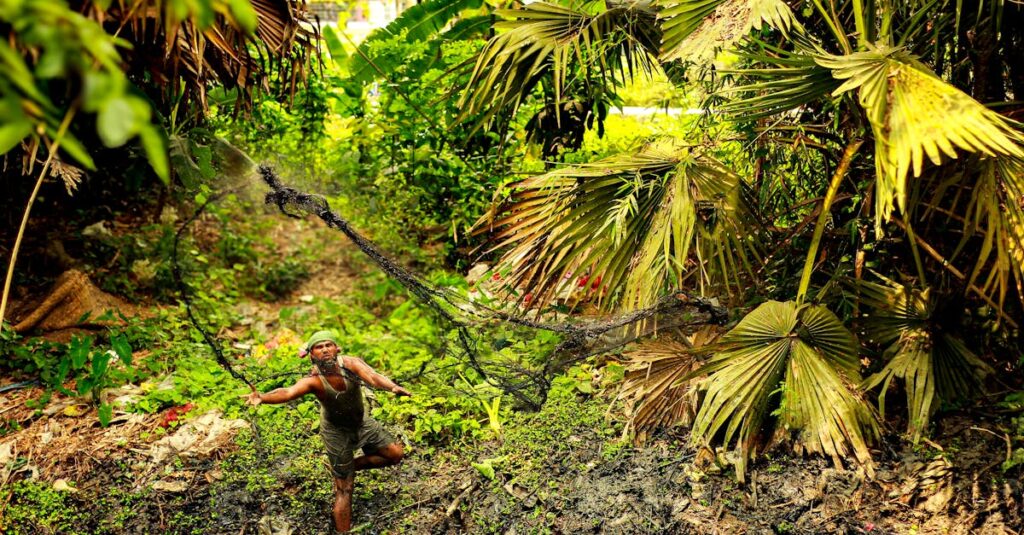 découvrez tout sur la taxe écologique : un impôt visant à encourager les comportements respectueux de l'environnement et à réduire l'impact des activités humaines sur la planète. informez-vous sur son fonctionnement, ses avantages et son rôle dans la transition vers une économie durable.