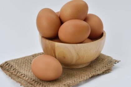 découvrez tout sur les œufs : leurs bienfaits nutritionnels, les différentes variétés, des recettes savoureuses et des conseils de cuisson pour les intégrer facilement dans votre alimentation quotidienne.