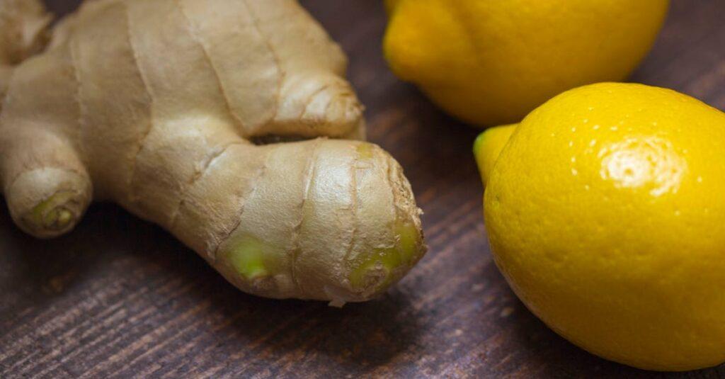 découvrez les bienfaits du gingembre, cette racine épicée aux propriétés médicinales impressionnantes. apprenez comment l'intégrer dans vos recettes pour stimuler votre santé et rehausser vos plats.