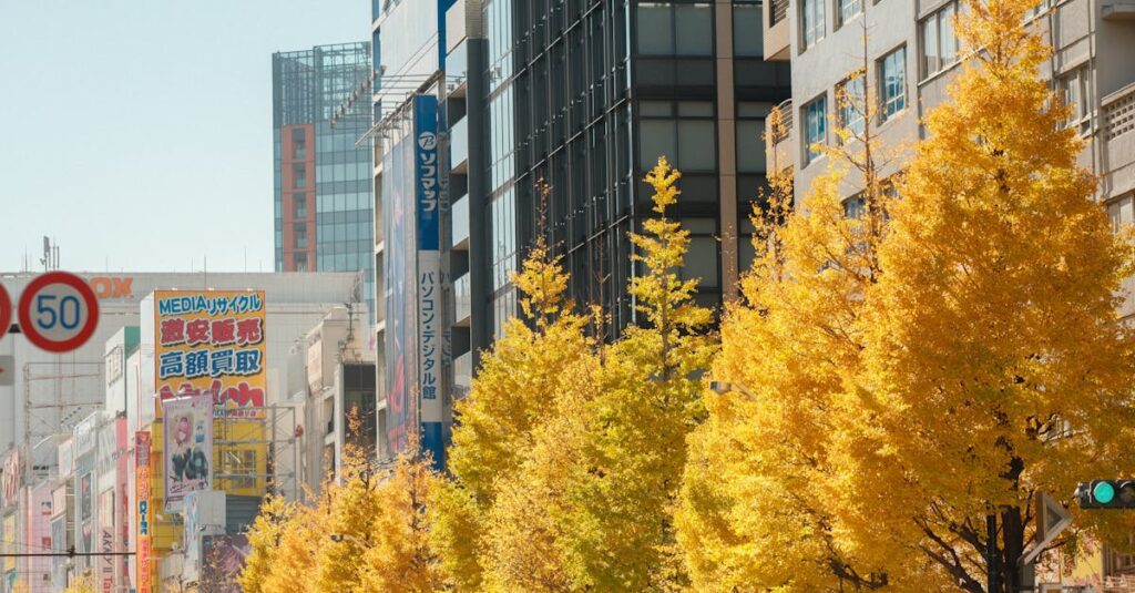découvrez les bienfaits du ginkgo biloba, un arbre aux propriétés exceptionnelles pour la santé. apprenez comment cette plante millénaire peut améliorer votre mémoire, favoriser la circulation sanguine et enrichir votre bien-être au quotidien.