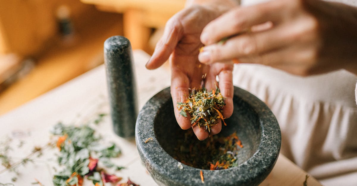 découvrez des remèdes naturels pour améliorer votre bien-être. explorez des solutions alternatives pour soulager divers maux et renforcer votre santé grâce aux bienfaits de la nature.
