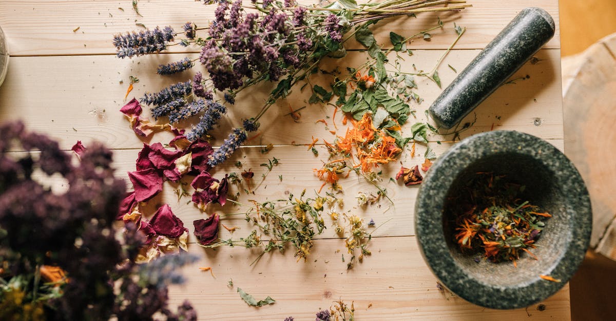 découvrez des remèdes naturels efficaces pour améliorer votre bien-être au quotidien. explorez des solutions à base de plantes, de minéraux et de techniques ancestrales pour soulager divers maux de manière douce et efficace.