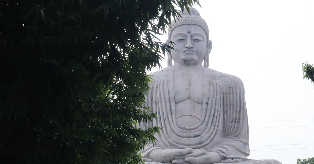 découvrez la profondeur et la richesse de la signification spirituelle à travers diverses traditions et philosophies. explorez comment la spiritualité influence notre bien-être, nos croyances et notre quête de sens dans la vie.
