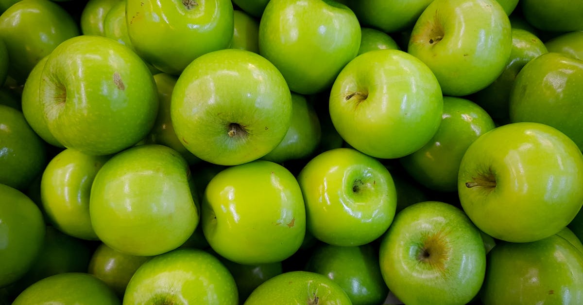 découvrez les bienfaits du vinaigre de cidre de pomme, un véritable élixir de santé. apprenez comment cet ingrédient naturel peut améliorer votre digestion, renforcer votre système immunitaire et favoriser la perte de poids. idéal pour des recettes savoureuses ou des soins de beauté, le vinaigre de cidre est un indispensable à avoir chez soi.