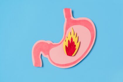 Cartoon Cute Paper cutout of stomach and heartburn