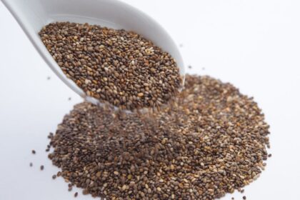 découvrez les incroyables bienfaits des graines de chia, un super-aliment riche en oméga-3, fibres et protéines. apprenez à les intégrer dans votre alimentation pour améliorer votre santé et votre bien-être.