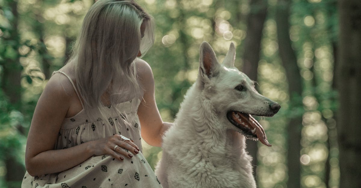 découvrez notre guide des prénoms allemands pour filles, alliant tradition et modernité. trouvez le prénom parfait qui évoque beauté et élégance, et laissez-vous inspirer par cette sélection unique.