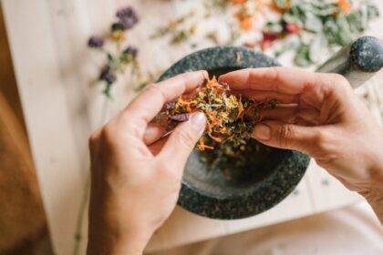 découvrez des remèdes maison efficaces pour soulager divers maux et améliorer votre bien-être. des solutions naturelles à portée de main, simples à préparer et sans effets secondaires, pour une santé optimale.