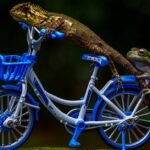 découvrez l'univers de l'humour à travers des anecdotes hilarantes, des blagues irrésistibles et des réflexions amusantes. plongez dans un monde où le rire est roi et partagez des moments de légèreté qui illuminent votre quotidien.