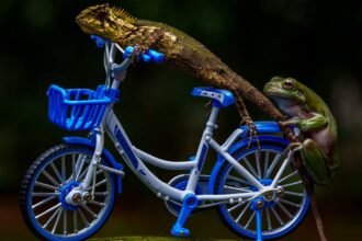 découvrez l'univers de l'humour à travers des anecdotes hilarantes, des blagues irrésistibles et des réflexions amusantes. plongez dans un monde où le rire est roi et partagez des moments de légèreté qui illuminent votre quotidien.