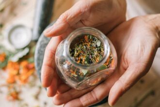 découvrez des remèdes naturels efficaces pour améliorer votre bien-être. explorez des solutions à base de plantes, d'aliments et de techniques holistiques pour soulager divers maux et renforcer votre santé de manière douce et naturelle.