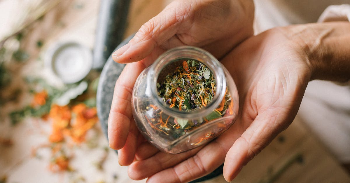 découvrez des remèdes naturels efficaces pour améliorer votre bien-être. explorez des solutions à base de plantes, d'aliments et de techniques holistiques pour soulager divers maux et renforcer votre santé de manière douce et naturelle.