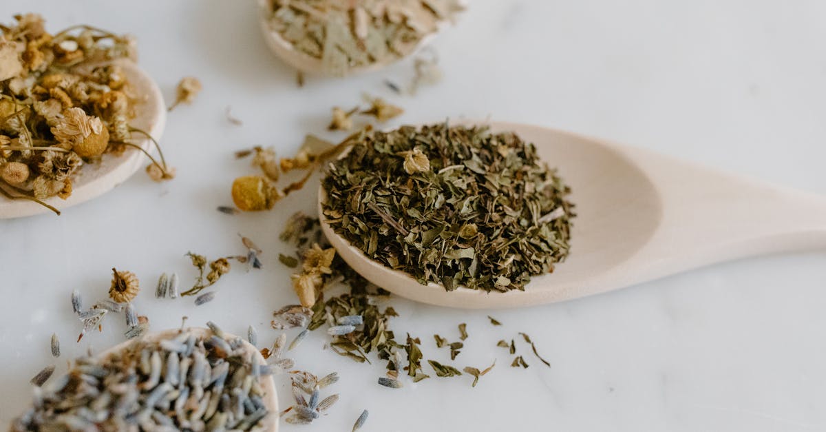 découvrez des remèdes naturels efficaces et accessibles pour améliorer votre bien-être au quotidien. explorez des astuces, des plantes et des recettes pour soulager divers maux et adopter un mode de vie plus sain.
