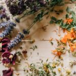 découvrez des remèdes naturels efficaces pour améliorer votre bien-être quotidien. apprenez à utiliser des plantes, des huiles essentielles et des recettes maison pour soulager divers maux et promouvoir une santé optimale.