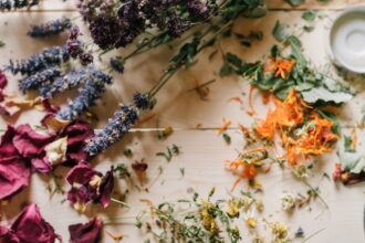 découvrez des remèdes naturels efficaces pour améliorer votre bien-être quotidien. apprenez à utiliser des plantes, des huiles essentielles et des recettes maison pour soulager divers maux et promouvoir une santé optimale.