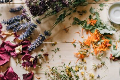 découvrez des remèdes naturels efficaces pour améliorer votre bien-être quotidien. apprenez à utiliser des plantes, des huiles essentielles et des recettes maison pour soulager divers maux et promouvoir une santé optimale.