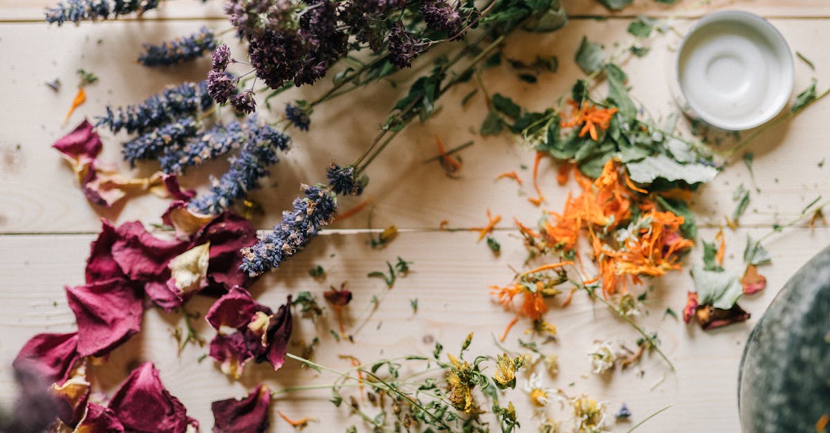 découvrez des remèdes naturels efficaces pour améliorer votre bien-être quotidien. apprenez à utiliser des plantes, des huiles essentielles et des recettes maison pour soulager divers maux et promouvoir une santé optimale.