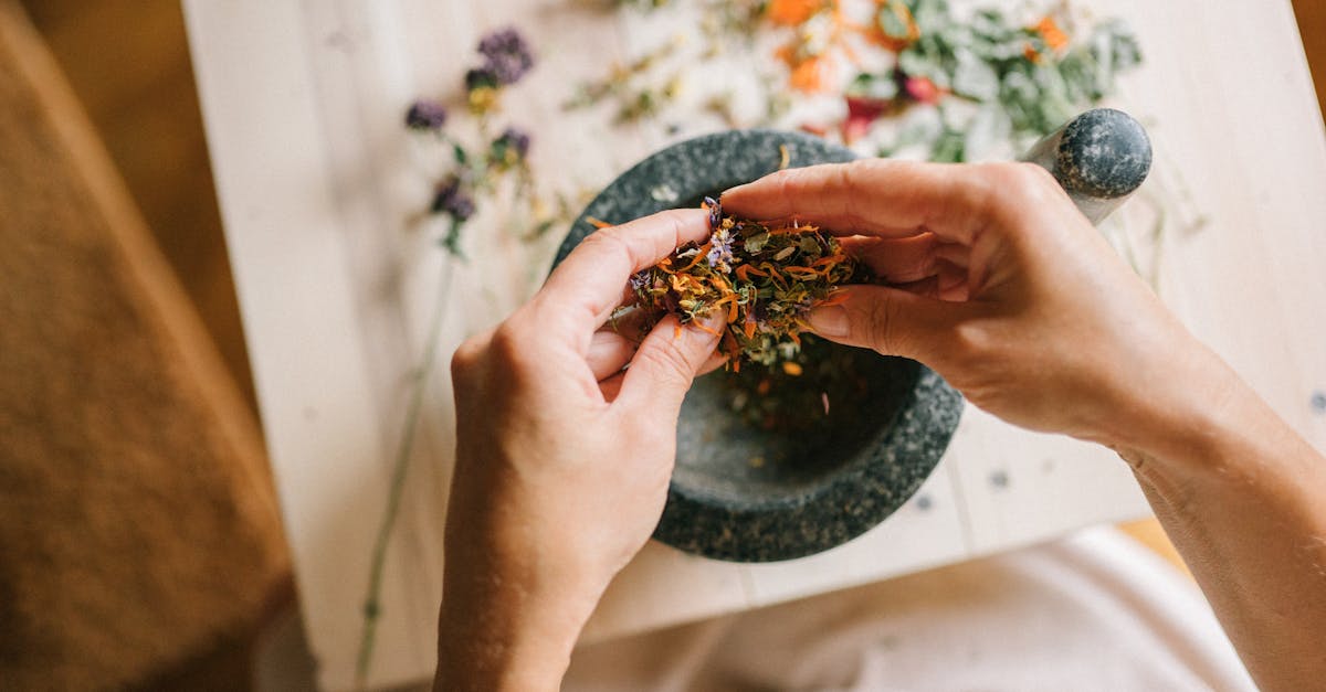 découvrez des remèdes naturels efficaces pour améliorer votre bien-être au quotidien. explorez des solutions à base de plantes, d'huiles essentielles et d'autres ingrédients naturels pour soulager divers maux et renforcer votre santé de manière douce et respectueuse.