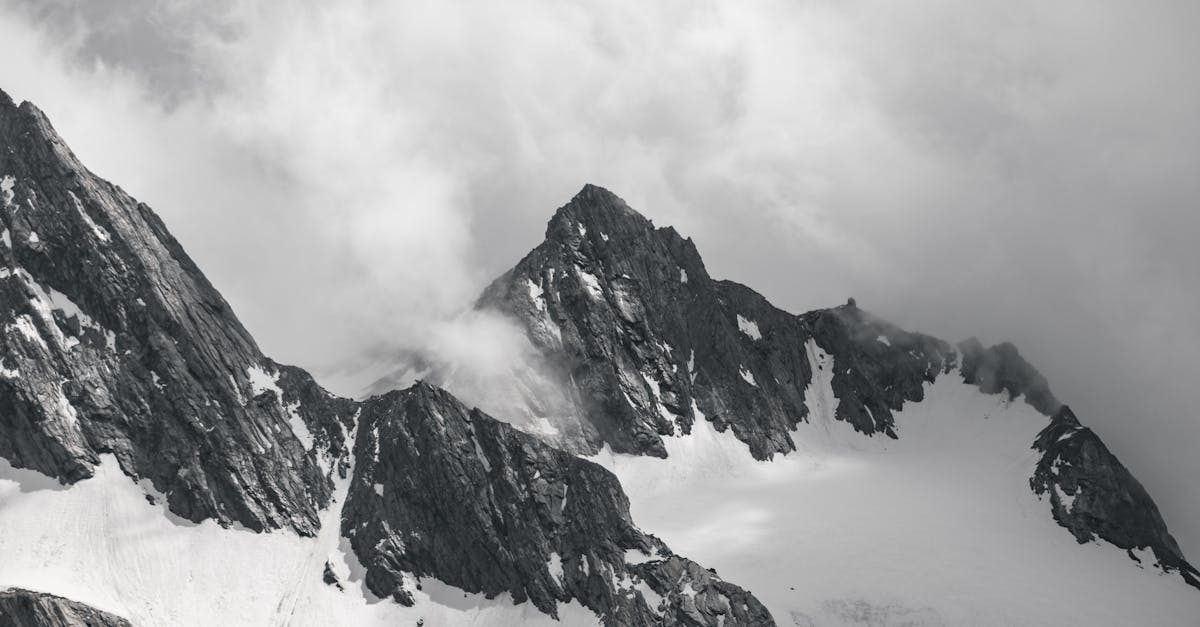 découvrez notre offre d'essai gratuit pour profiter de tous nos services sans engagement. testez nos fonctionnalités exclusives et constatez par vous-même la valeur ajoutée que nous apportons à votre expérience. inscrivez-vous dès aujourd'hui et explorez sans limites !