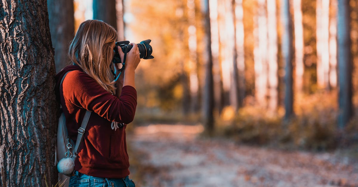 découvrez l'art du photo editing avec nos astuces et techniques pour transformer vos images. apprenez à améliorer vos photos grâce à des logiciels professionnels, des filtres créatifs et des conseils pratiques pour sublimer vos souvenirs.