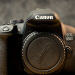 découvrez des conseils et astuces pour réaliser des photos professionnelles de qualité. que ce soit pour un portrait, un évènement ou un projet créatif, apprenez à maîtriser la prise de vue et à valoriser votre sujet avec des techniques éprouvées.