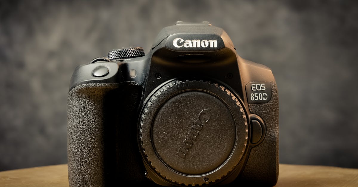 découvrez des conseils et astuces pour réaliser des photos professionnelles de qualité. que ce soit pour un portrait, un évènement ou un projet créatif, apprenez à maîtriser la prise de vue et à valoriser votre sujet avec des techniques éprouvées.