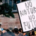 découvrez le pouvoir de la solidarité, un principe fondamental qui unit les individus autour de valeurs communes. explorez comment l'entraide, le partage et la coopération peuvent transformer nos sociétés et renforcer les liens communautaires.