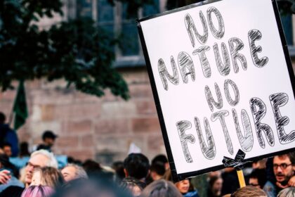 découvrez le pouvoir de la solidarité, un principe fondamental qui unit les individus autour de valeurs communes. explorez comment l'entraide, le partage et la coopération peuvent transformer nos sociétés et renforcer les liens communautaires.