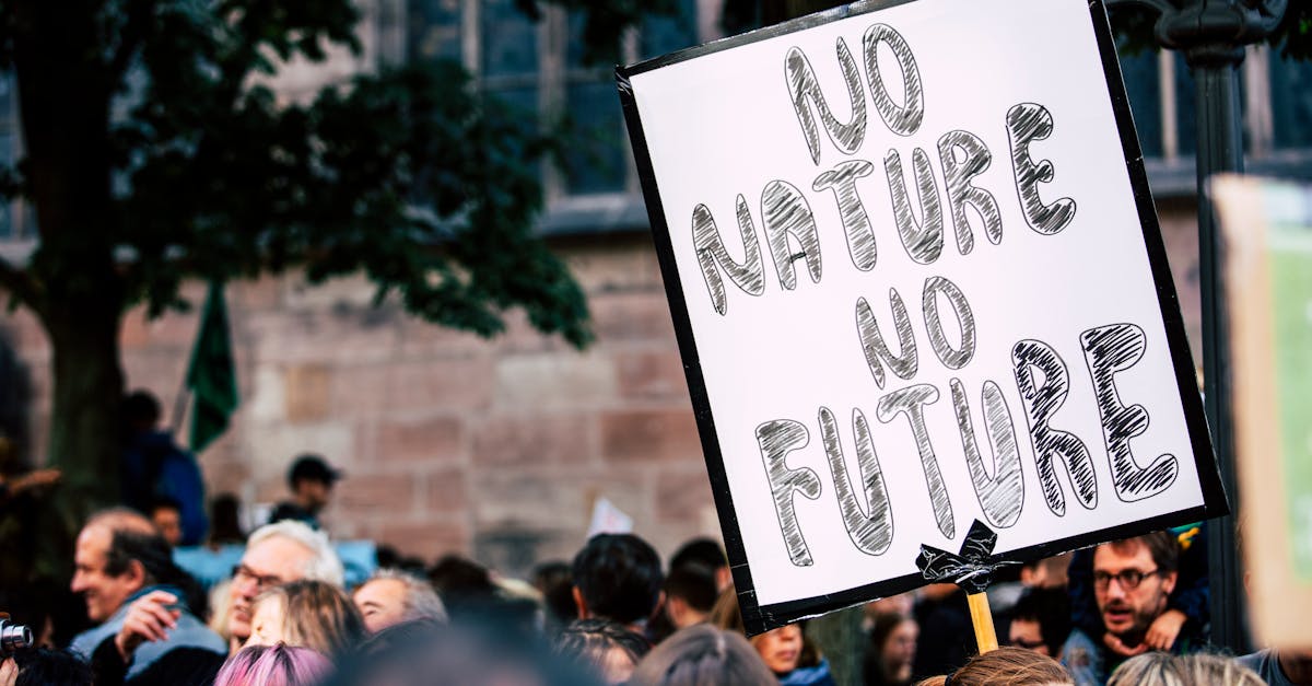 découvrez le pouvoir de la solidarité, un principe fondamental qui unit les individus autour de valeurs communes. explorez comment l'entraide, le partage et la coopération peuvent transformer nos sociétés et renforcer les liens communautaires.