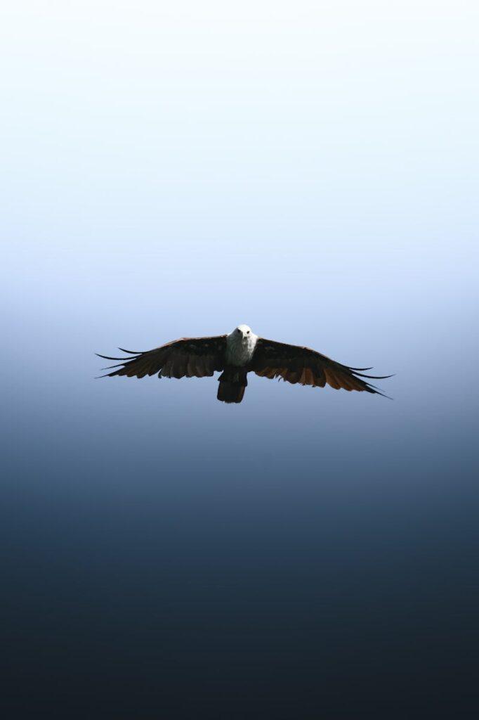 Résultats du Quinté du jour du 10/11/2025 : Rapports, analyses et mon avis