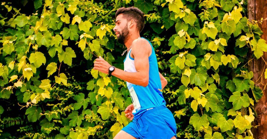 découvrez la garmin forerunner 255, la montre gps idéale pour les coureurs, avec suivi précis des performances, fonctionnalités avancées et autonomie longue durée.