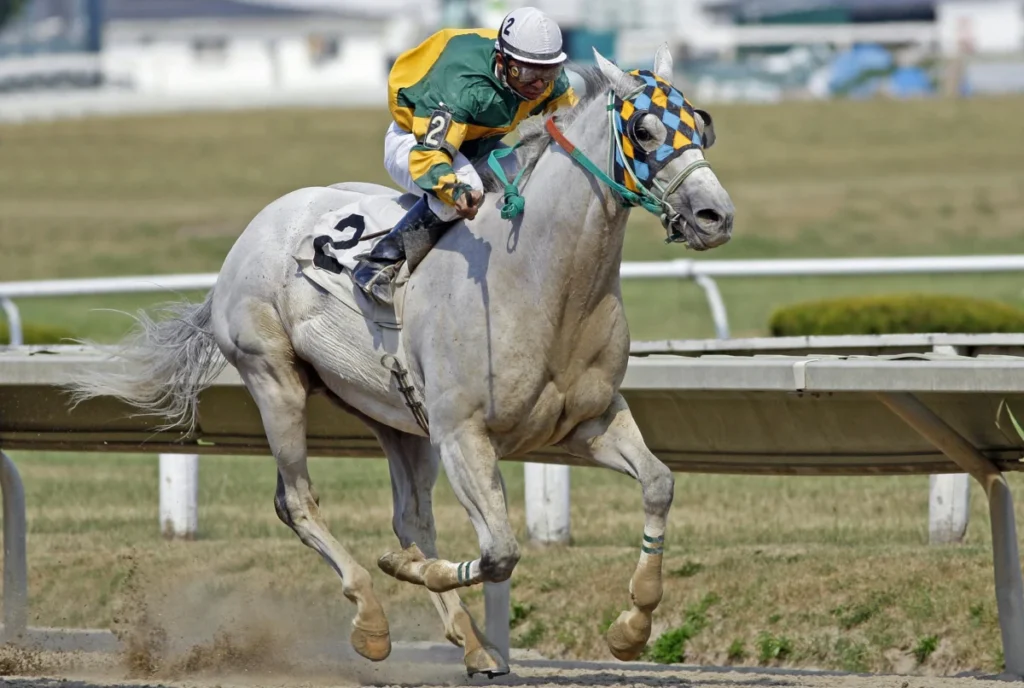 White horse and jockey in action during a horse race on a sunny day.