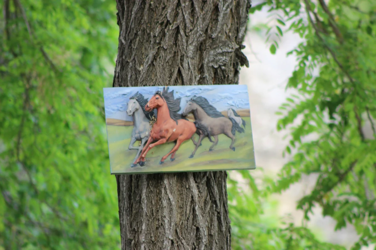 Chevaux à surveiller pour les prochaines courses : performances et promesses